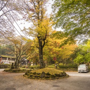 japan_autumn_2015-5966
