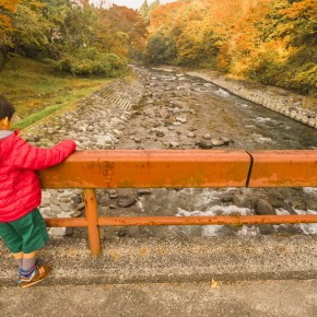 japan_autumn_2015-6007