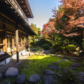 japan_autumn_2015-7245