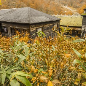 japan_autumn_2015-7765