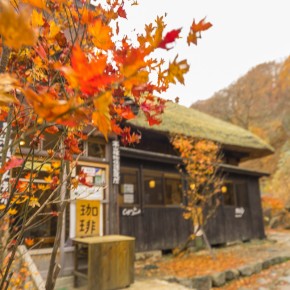 japan_autumn_2015-7791