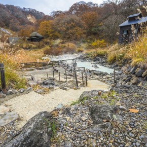 japan_autumn_2015-7799