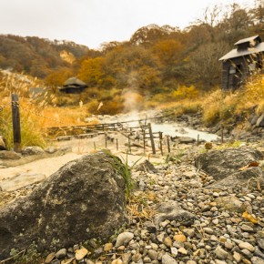 japan_autumn_2015-7801