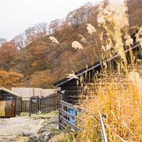 japan_autumn_2015-7821