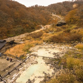 japan_autumn_2015-7855