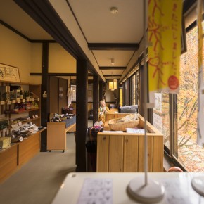 japan_autumn_2015-7880