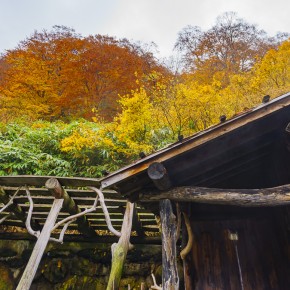 japan_autumn_2015-7969