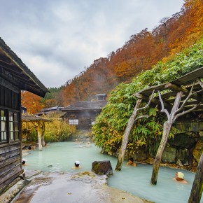 japan_autumn_2015-7972