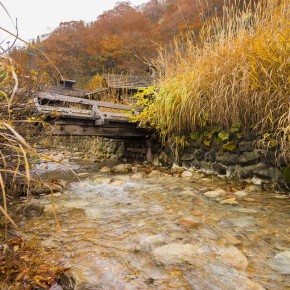 japan_autumn_2015-8007