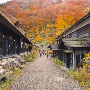 japan_autumn_2015-8042