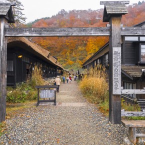 japan_autumn_2015-8045