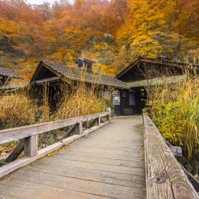japan_autumn_2015-8065