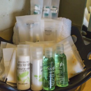 westin_siray-9450