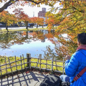 japan_autumn_2015-092956