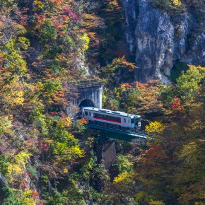 japan_autumn_2015-2-2