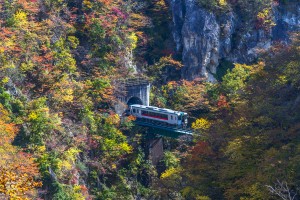 13 วัน 5 จังหวัด 1,300 กิโลเมตรขับรถไล่ล่าใบไม้แดงที่ โทโฮคุ Japan,ทริปใบไม้แดง,autumn,NIKKO,เรียวกัง,Aomori,Hirosaki Park,AKITA,NYUTO ONSEN, MIYAGI,KAWASAKI,Kuroyu Onsen,Tsurunoyu Onsen