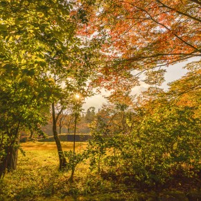 japan_autumn_2015-4931