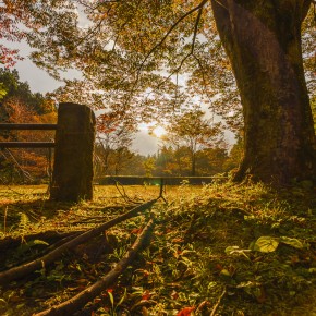 japan_autumn_2015-4934
