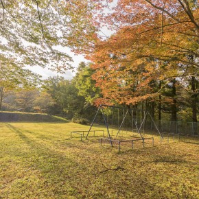 japan_autumn_2015-4939