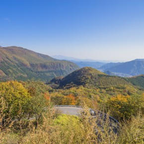 japan_autumn_2015-5228