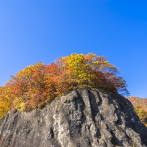japan_autumn_2015-5241