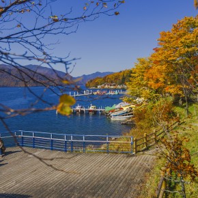 japan_autumn_2015-5304