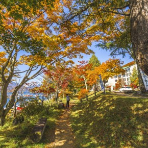 japan_autumn_2015-5325