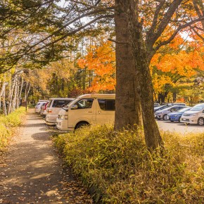 japan_autumn_2015-5500