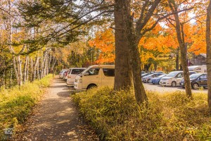 13 วัน 5 จังหวัด 1,300 กิโลเมตรขับรถเที่ยว ไล่ล่าใบไม้แดงที่ โทโฮคุ Japan,ทริปใบไม้แดง,autumn,NIKKO,เรียวกัง,Aomori,Hirosaki Park,AKITA,NYUTO ONSEN, MIYAGI,KAWASAKI,Kuroyu Onsen,Tsurunoyu Onsen