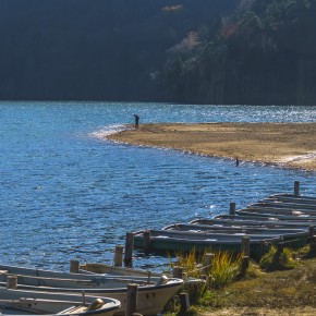 japan_autumn_2015-5533