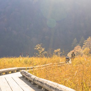japan_autumn_2015-5600