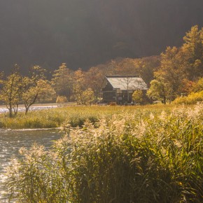 japan_autumn_2015-5605