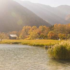 japan_autumn_2015-5619