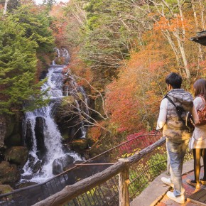 japan_autumn_2015-5782