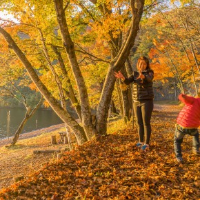 japan_autumn_2015-5872