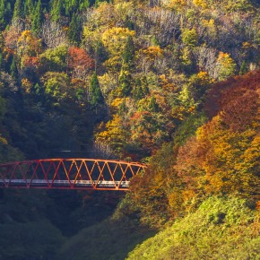 japan_autumn_2015-6683
