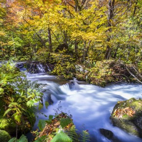 japan_autumn_2015-6876