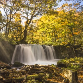 japan_autumn_2015-6929