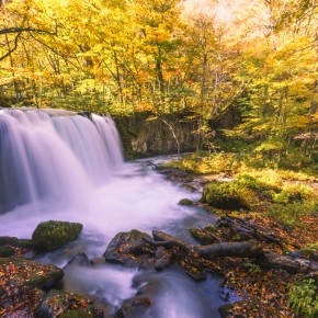 japan_autumn_2015-6992
