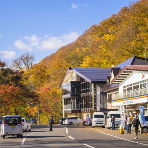 japan_autumn_2015-7024
