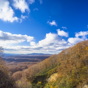 japan_autumn_2015-7040