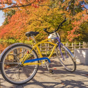 japan_autumn_2015-7260
