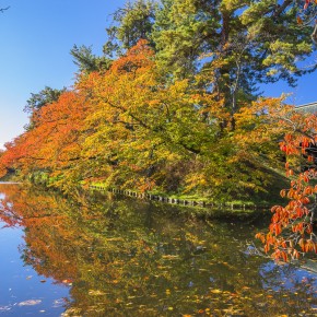 japan_autumn_2015-7296