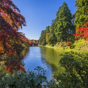 japan_autumn_2015-7310