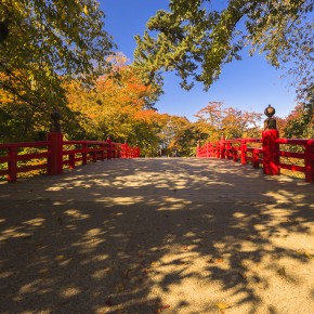 japan_autumn_2015-7340
