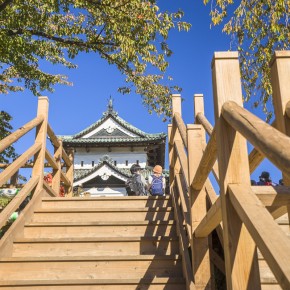 japan_autumn_2015-7358