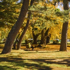 japan_autumn_2015-7376