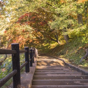 japan_autumn_2015-7427