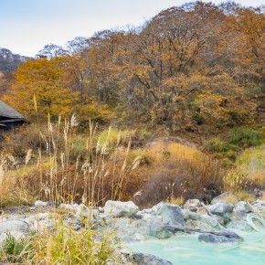 japan_autumn_2015-7814