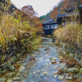 japan_autumn_2015-7992